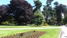 Christchurch : Parc botanique